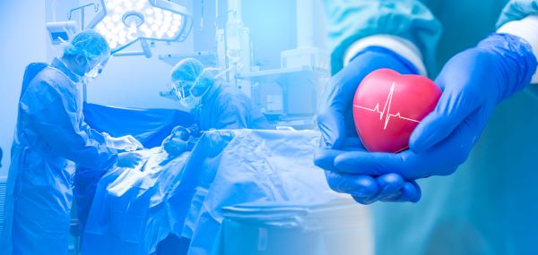 Hipertensão e Cirurgia plástica - médico segura um pequeno coração, indicando o cuidado com o paciente hipertenso.